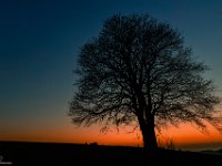 2014.03.07_192848_Sonnenuntergang Sachsenried_3000.jpg